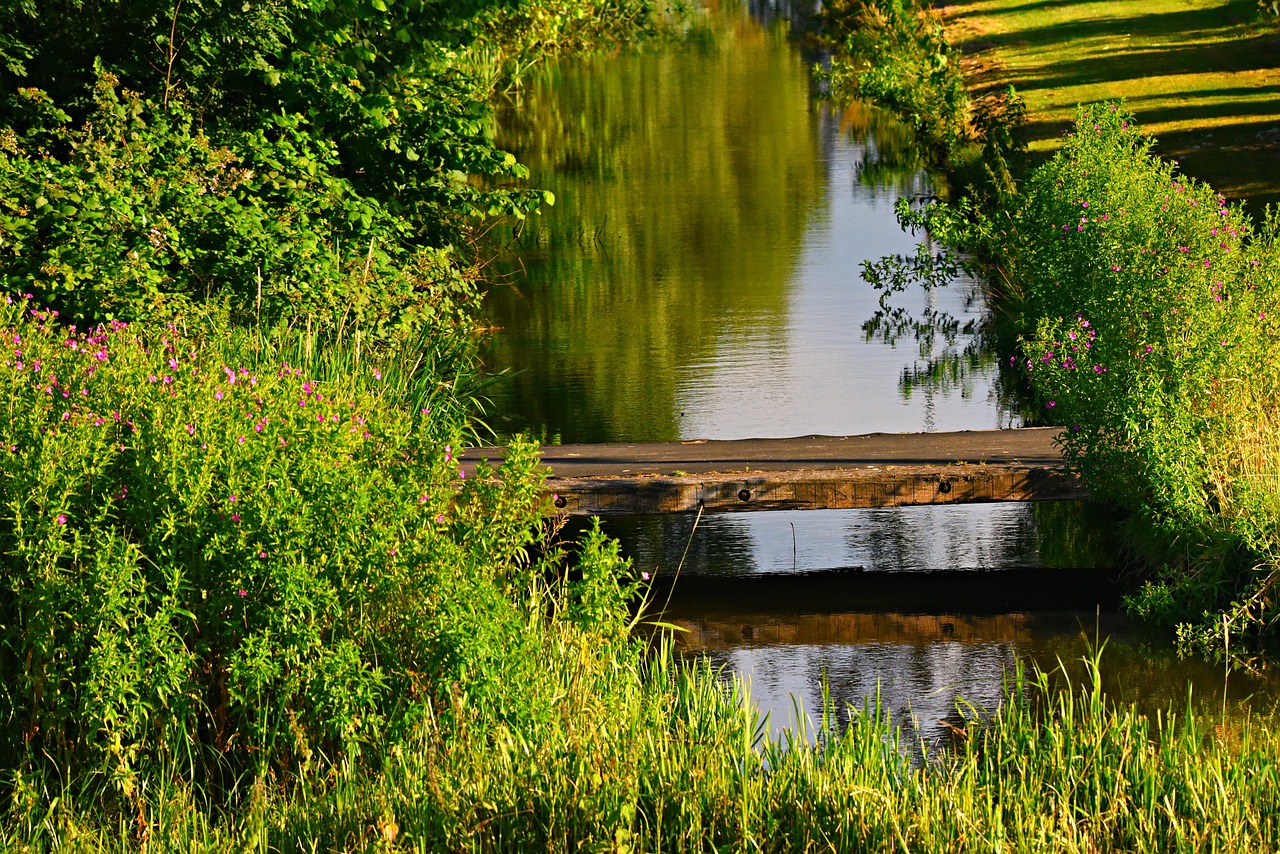 ditch, water, water filled ditch, plank, across, banks, vegetation, rural, outdoors, nature, spring